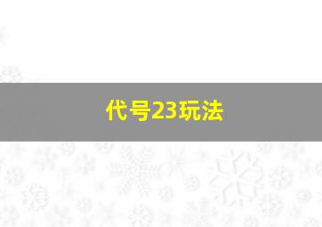 代号23玩法