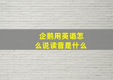 企鹅用英语怎么说读音是什么