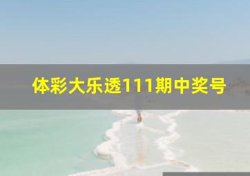 体彩大乐透111期中奖号