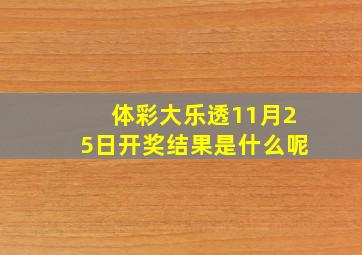 体彩大乐透11月25日开奖结果是什么呢