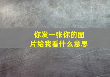 你发一张你的图片给我看什么意思