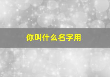 你叫什么名字用