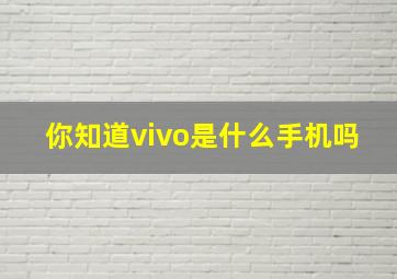 你知道vivo是什么手机吗