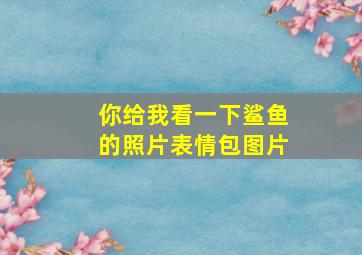 你给我看一下鲨鱼的照片表情包图片