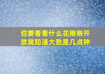 你要看看什么花刚刚开放就知道大致是几点钟