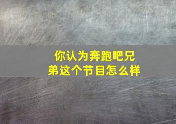 你认为奔跑吧兄弟这个节目怎么样