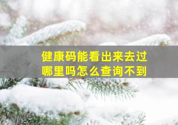 健康码能看出来去过哪里吗怎么查询不到