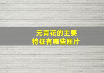 元青花的主要特征有哪些图片