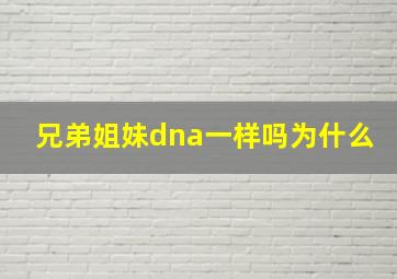 兄弟姐妹dna一样吗为什么