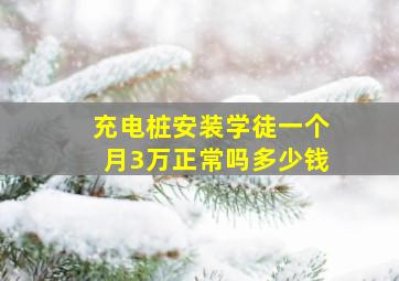 充电桩安装学徒一个月3万正常吗多少钱