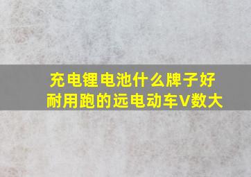 充电锂电池什么牌子好耐用跑的远电动车V数大