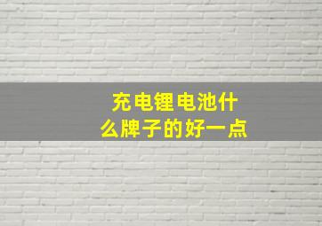 充电锂电池什么牌子的好一点