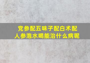 党参配五味子配白术配人参泡水喝能治什么病呢