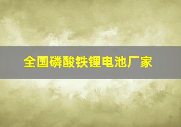 全国磷酸铁锂电池厂家