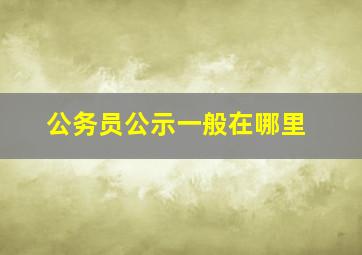 公务员公示一般在哪里