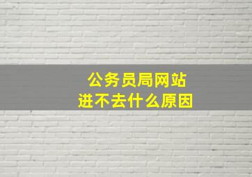 公务员局网站进不去什么原因