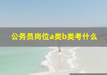 公务员岗位a类b类考什么