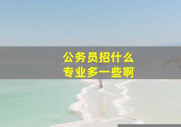 公务员招什么专业多一些啊