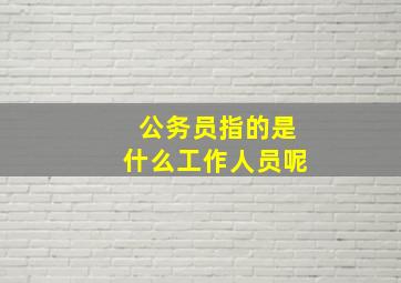 公务员指的是什么工作人员呢