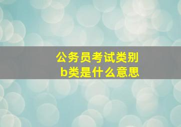 公务员考试类别b类是什么意思