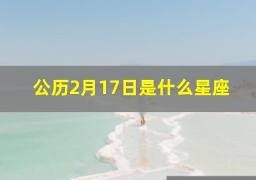 公历2月17日是什么星座