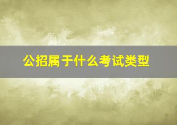 公招属于什么考试类型