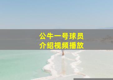 公牛一号球员介绍视频播放