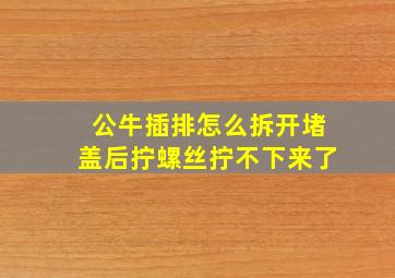 公牛插排怎么拆开堵盖后拧螺丝拧不下来了