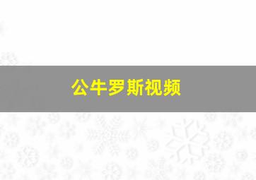 公牛罗斯视频