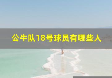 公牛队18号球员有哪些人