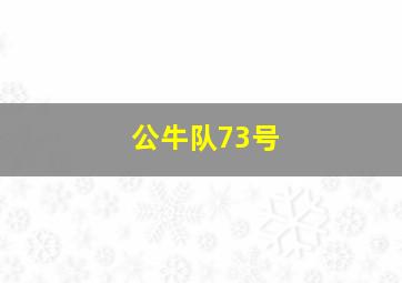 公牛队73号