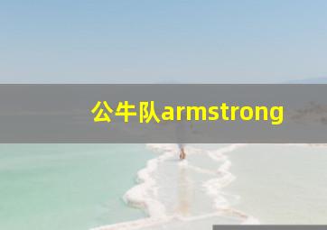 公牛队armstrong