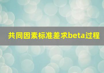 共同因素标准差求beta过程