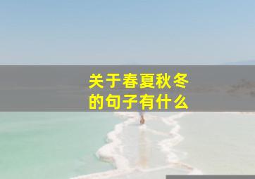 关于春夏秋冬的句子有什么