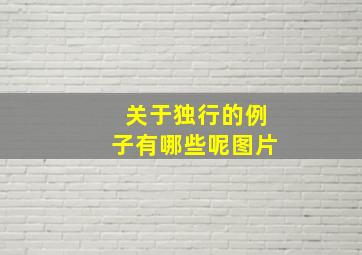 关于独行的例子有哪些呢图片