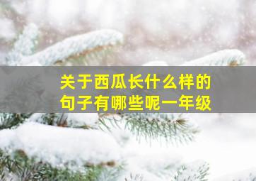 关于西瓜长什么样的句子有哪些呢一年级