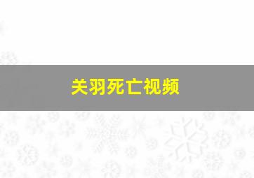 关羽死亡视频