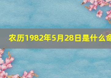 农历1982年5月28日是什么命