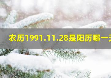 农历1991.11.28是阳历哪一天