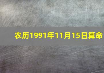 农历1991年11月15日算命