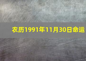 农历1991年11月30日命运