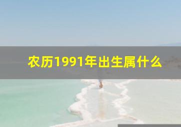 农历1991年出生属什么