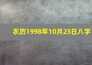 农历1998年10月23日八字