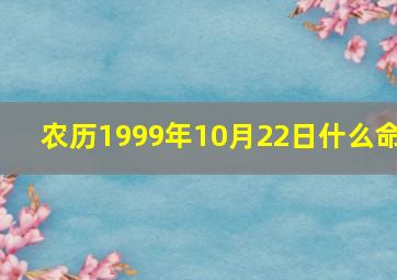 农历1999年10月22日什么命