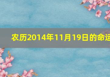 农历2014年11月19日的命运