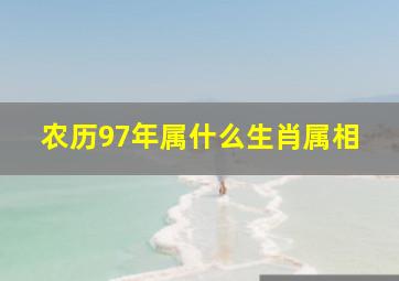 农历97年属什么生肖属相