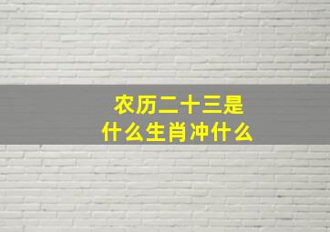 农历二十三是什么生肖冲什么