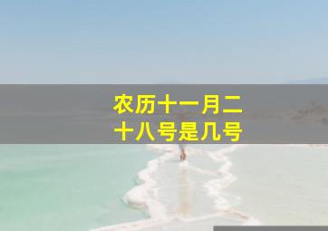 农历十一月二十八号是几号