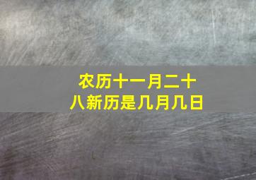 农历十一月二十八新历是几月几日