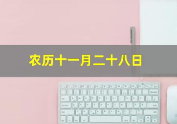 农历十一月二十八日